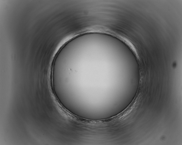 X0000100751146200806190817