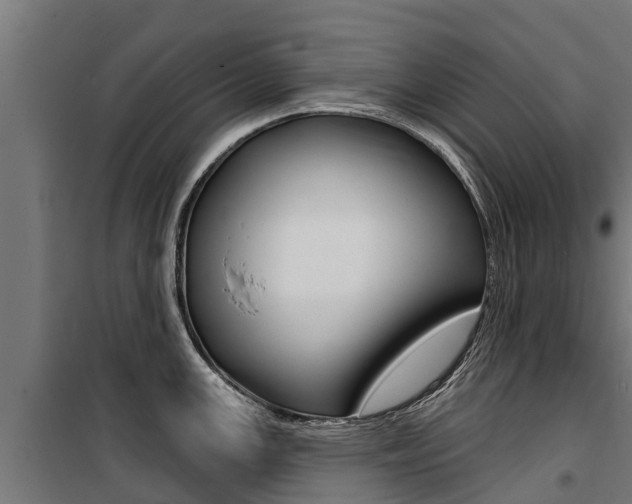 X0000100751147200806190817