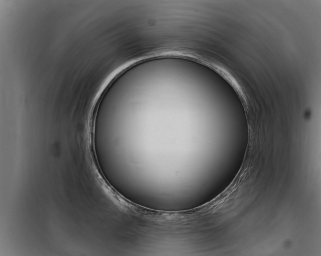 X0000100751148200806190817