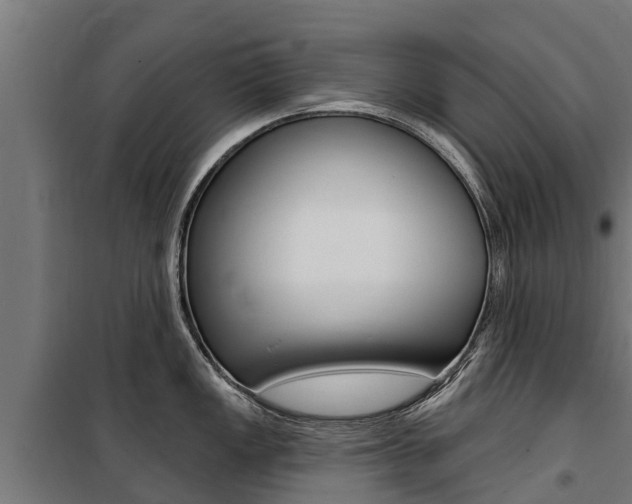 X0000100751149200806190817