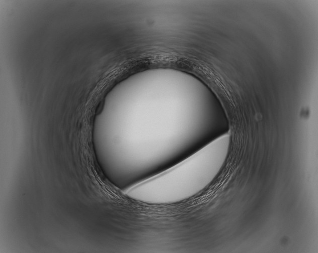 X0000100751153200806190816