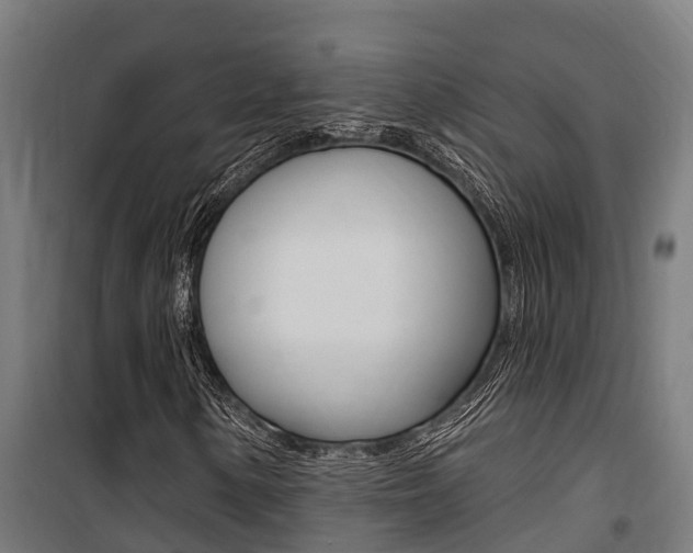 X0000100751154200806190816