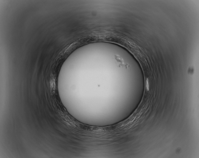 X0000100751155200806190816