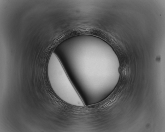 X0000100751156200806190816