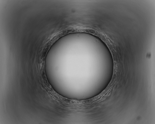 X0000100751157200806190816