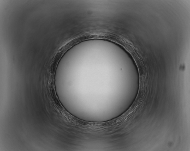 X0000100751158200806190816