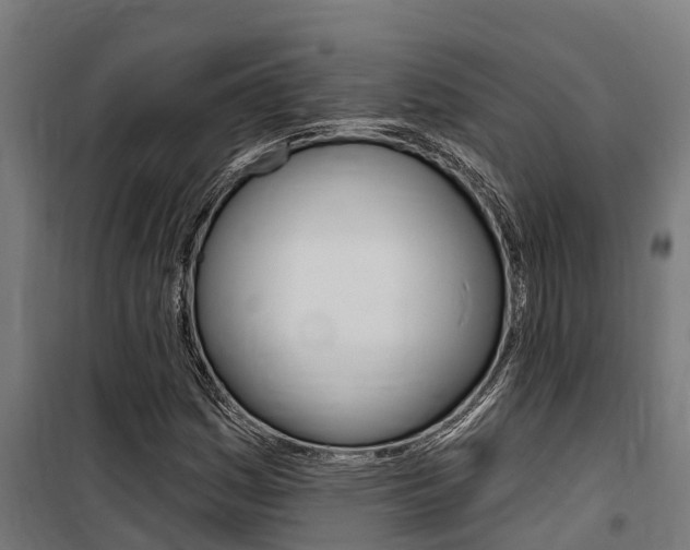 X0000100751161200806190816