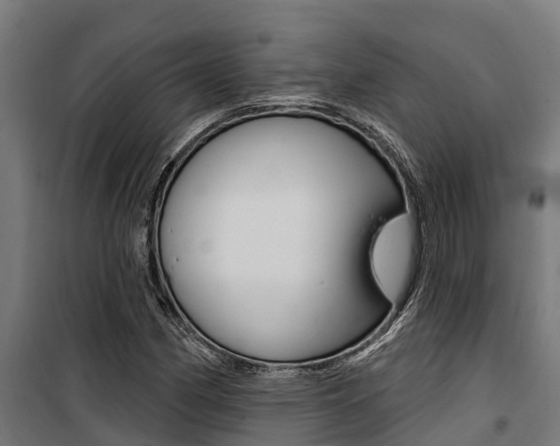 X0000100751162200806190816