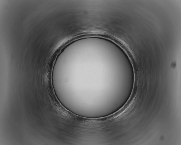 X0000100751163200806190816