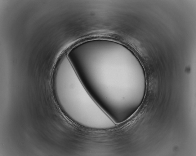 X0000100751164200806190816
