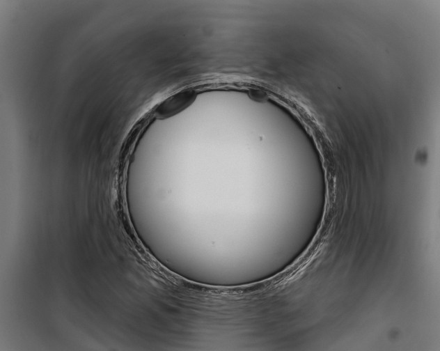 X0000100751165200806190816