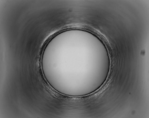 X0000100751166200806190816