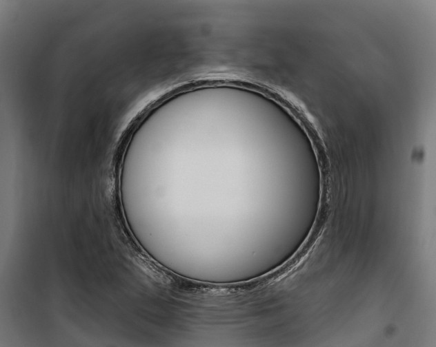 X0000100751167200806190816