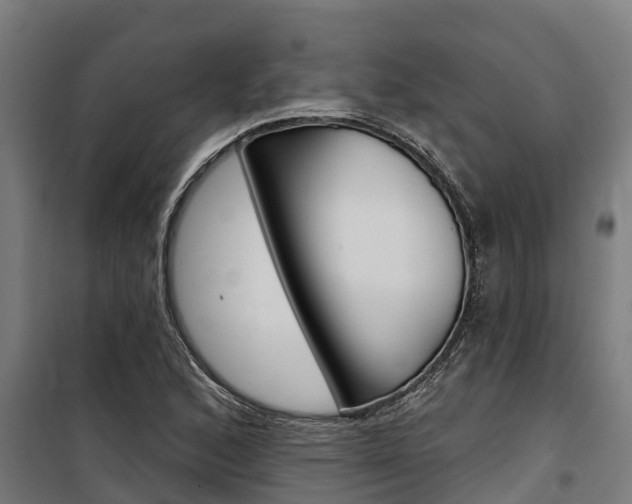 X0000100751168200806190816