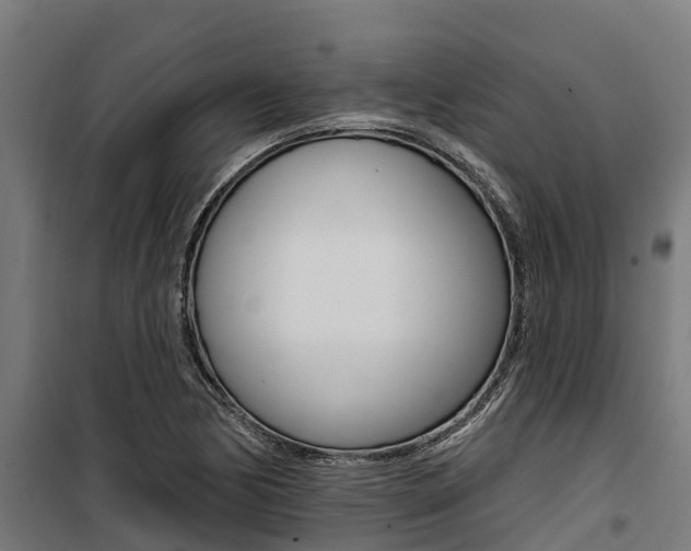 X0000100751170200806190816