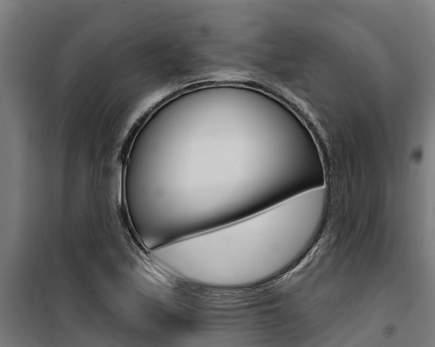 X0000100751171200806190816