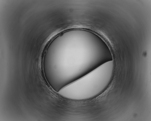 X0000100751173200806190816