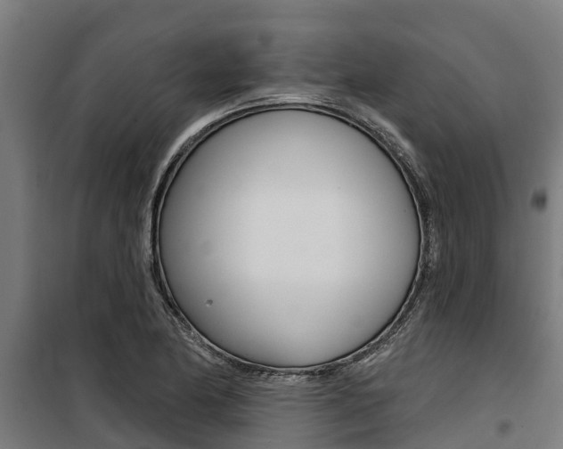 X0000100751174200806190816