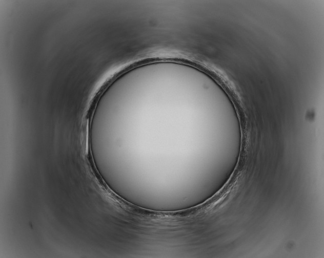 X0000100751175200806190816