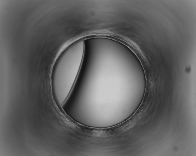 X0000100751176200806190816