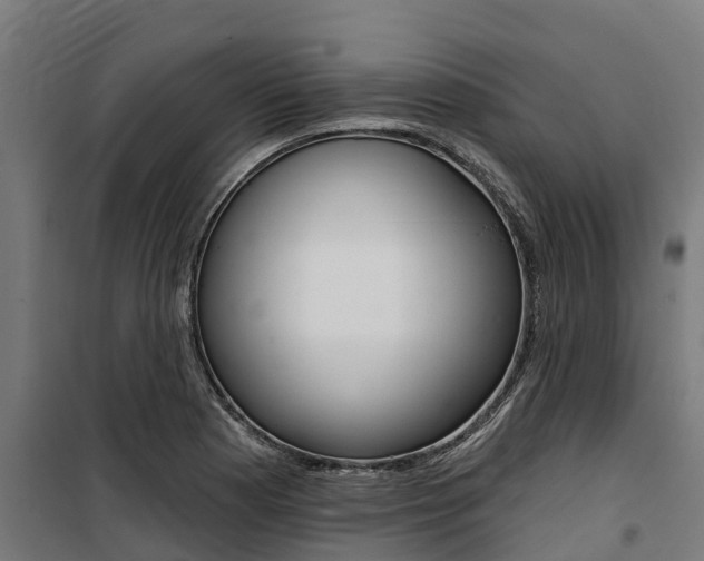 X0000100751177200806190816