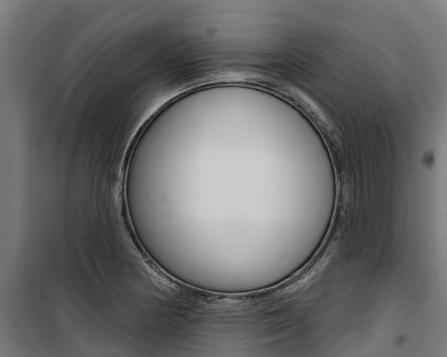 X0000100751178200806190816