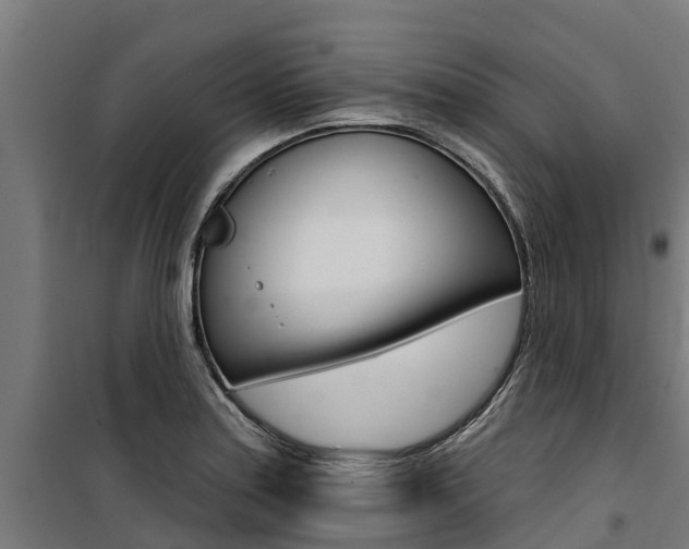 X0000100751179200806190816