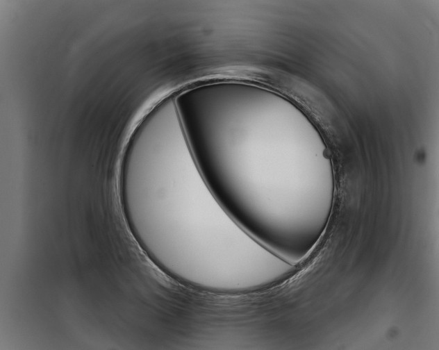 X0000100751180200806190816