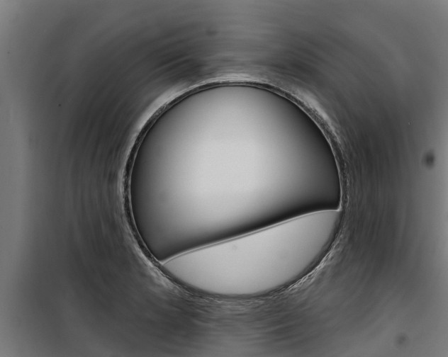 X0000100751181200806190816