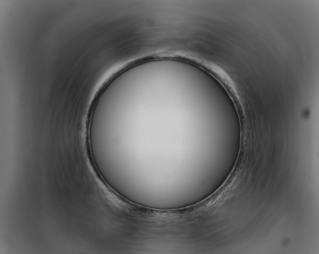 X0000100751183200806190816
