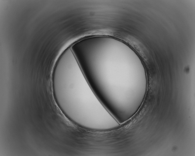 X0000100751184200806190815