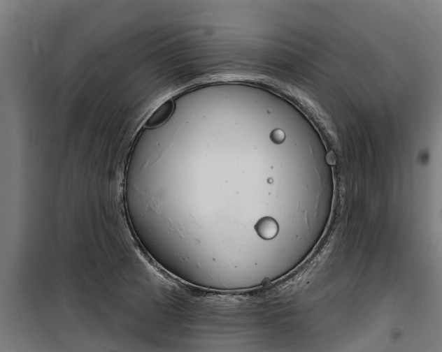 X0000100751185200806190815