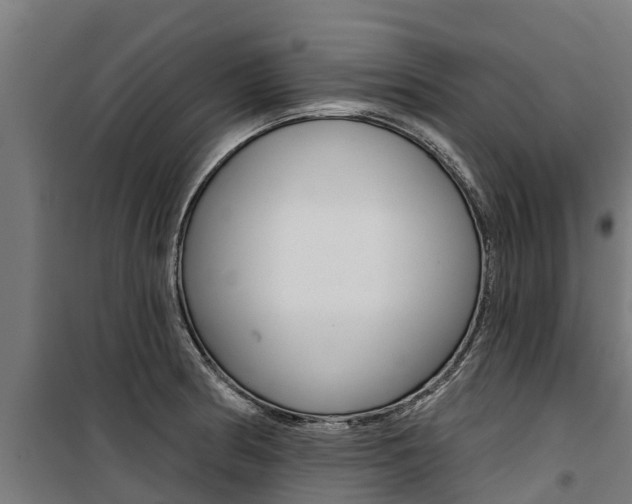 X0000100751186200806190815