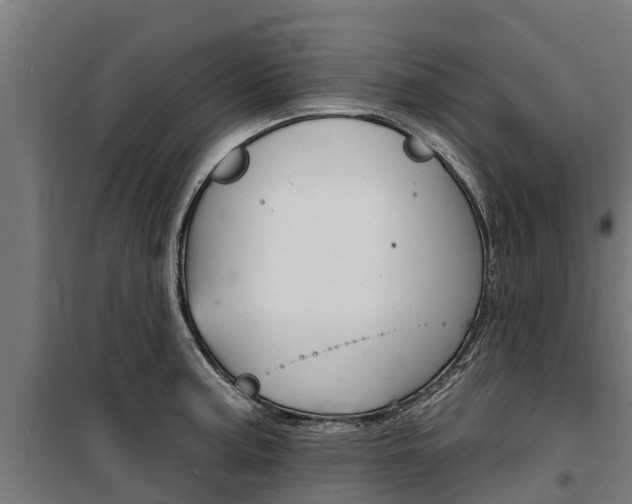 X0000100751187200806190815