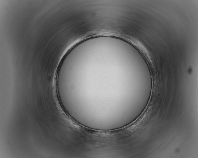 X0000100751190200806190815