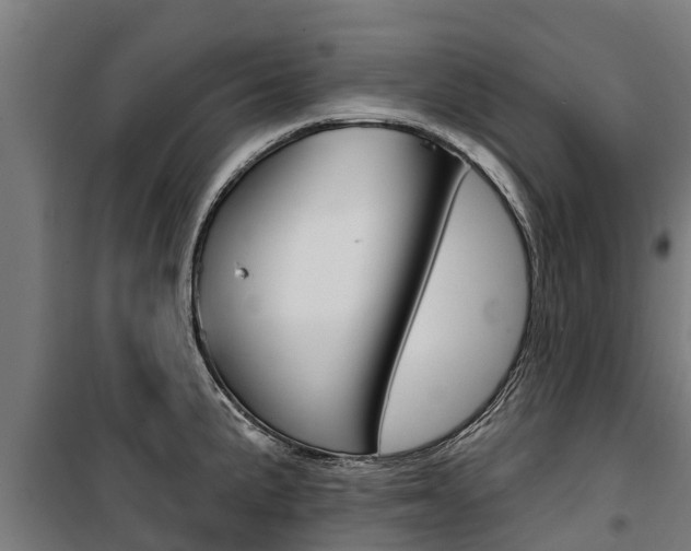 X0000100751191200806190815