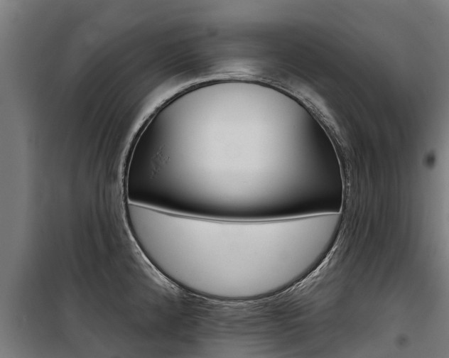 X0000100751192200806190815