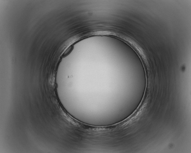 X0000100751193200806190815
