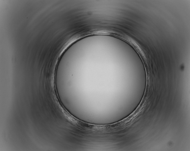 X0000100751194200806190815