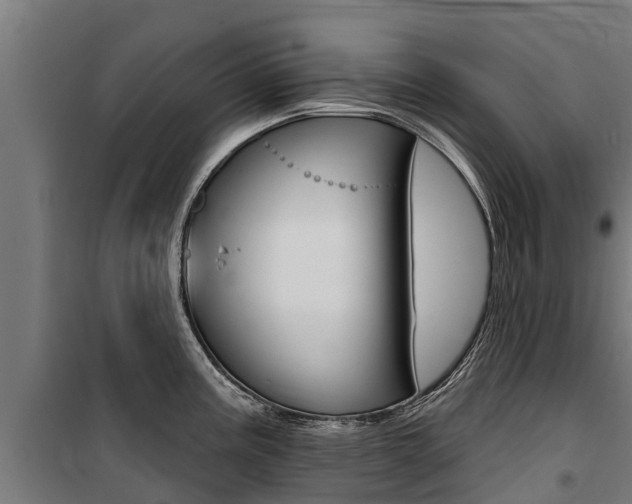 X0000100751195200806190815