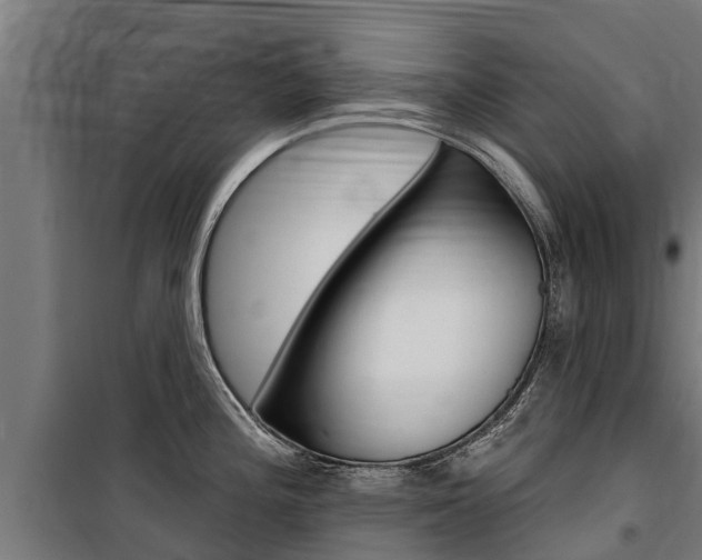 X0000100751196200806190815