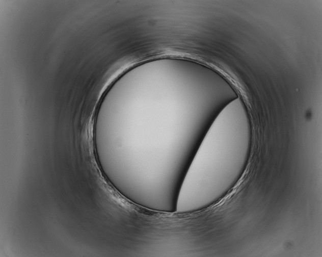 X0000100751198200806190815