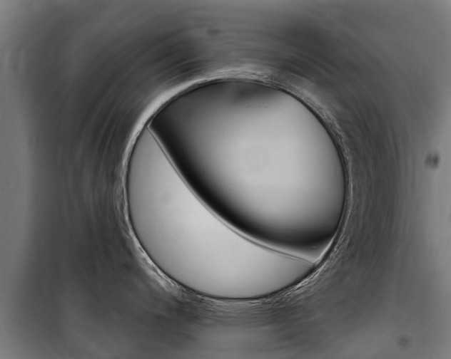 X0000100751200200806190815