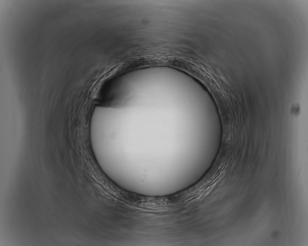 X0000100751201200806190814