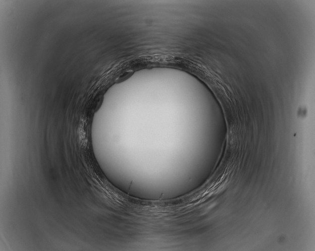 X0000100751202200806190814