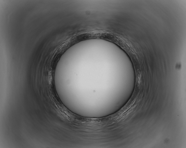 X0000100751204200806190814