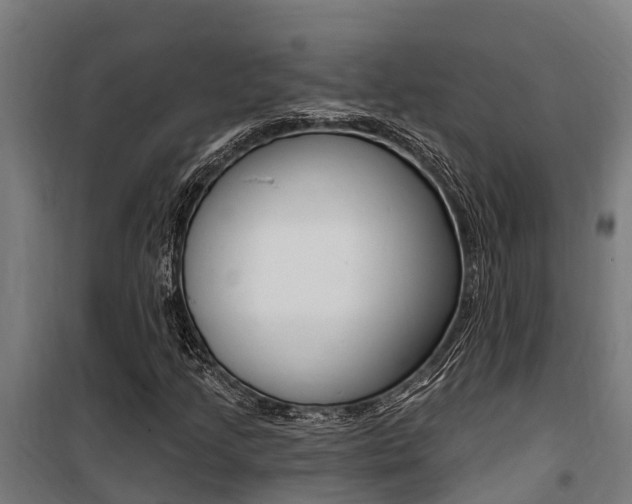 X0000100751205200806190814