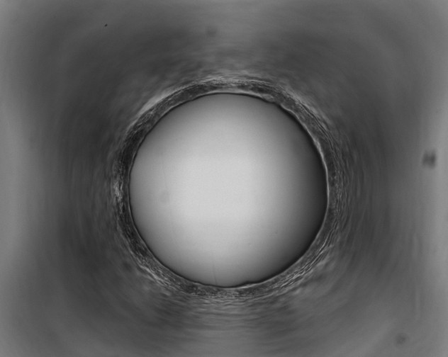 X0000100751206200806190814