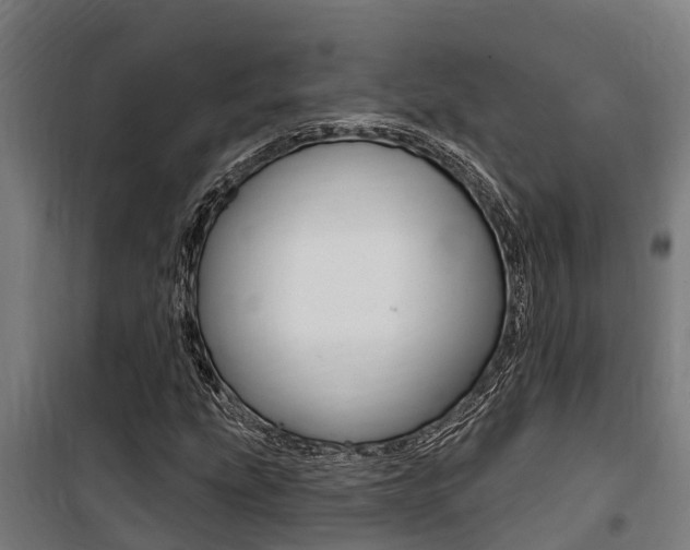 X0000100751207200806190815