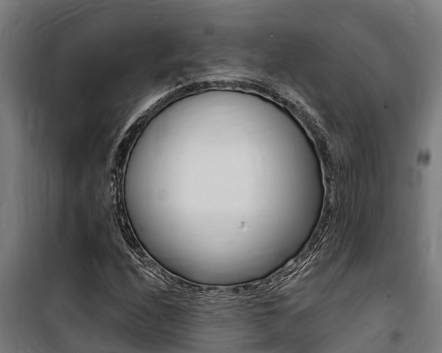 X0000100751208200806190815